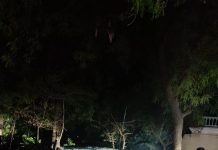 Badwani News: 3 डॉक्टरों को लोकायुक्त से ट्रैप करवाने वाले शिकायतकर्ता की कार जलाई, अतिरिक्त पुलिस बल तैनात