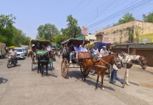 Khargone News: तांगे पर सवार हुए केमिस्ट, ई-फार्मेसी के खिलाफ निकाली अनोखी रैली,तांगे, ई-रिक्शा और ई-बाइक से शहर में किया प्रदर्शन