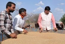 किसानों से ज्यादा खरीदी, जल्दी भुगतान, मानीटरिंग के लिए CM, मंत्री, अफसर कर रहे औचक निरीक्षण
