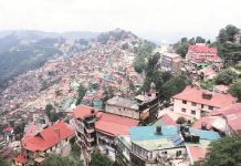 शिमला घूमने गए व्यापारी के घर पर धावा बोल लाखों का माल ले उडे बदमाश