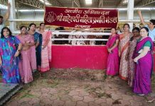 Cow Service is the Supreme Duty : गौशाला में श्रद्धा, सेवा, समर्पण का अनुपम उदाहरण, 2 क्विंटल तरबूज, हरी घास गोमाताओं को खिलाया!