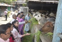 Social Service and Compassion for Living Beings : सड़क दुघर्टना में दिवंगत हुए प्रहलाद सिंह राठौड़ की स्मृति में राठौड़ परिवार ने गौ सेवा कर, वृद्धजनों को कराई भोजन प्रसादी!