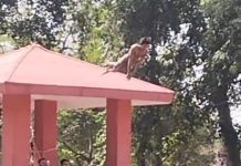 Openly lnviting Death : प्रशासन और क्षेत्रीय पार्षद की अनदेखी कही भारी ना पढ़े, तैरने की त्रिवेणी में सरे आम मौत को आमंत्रण!