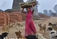 बेहद दर्दनाक और झकझोर देने वाली घटना: लकड़ी बीनने गई महिला को आवारा कुत्तों ने जिंदा नोच डाला, चीखें सुन दौड़े लोग लेकिन नहीं बच सकी जान