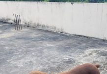 एक साल पहले तेंदुए को मात देने वाली ‘डेज़ी’ इस बार नहीं बच सकी, CCTV में कैद हुआ दिल दहला देने वाला हमला