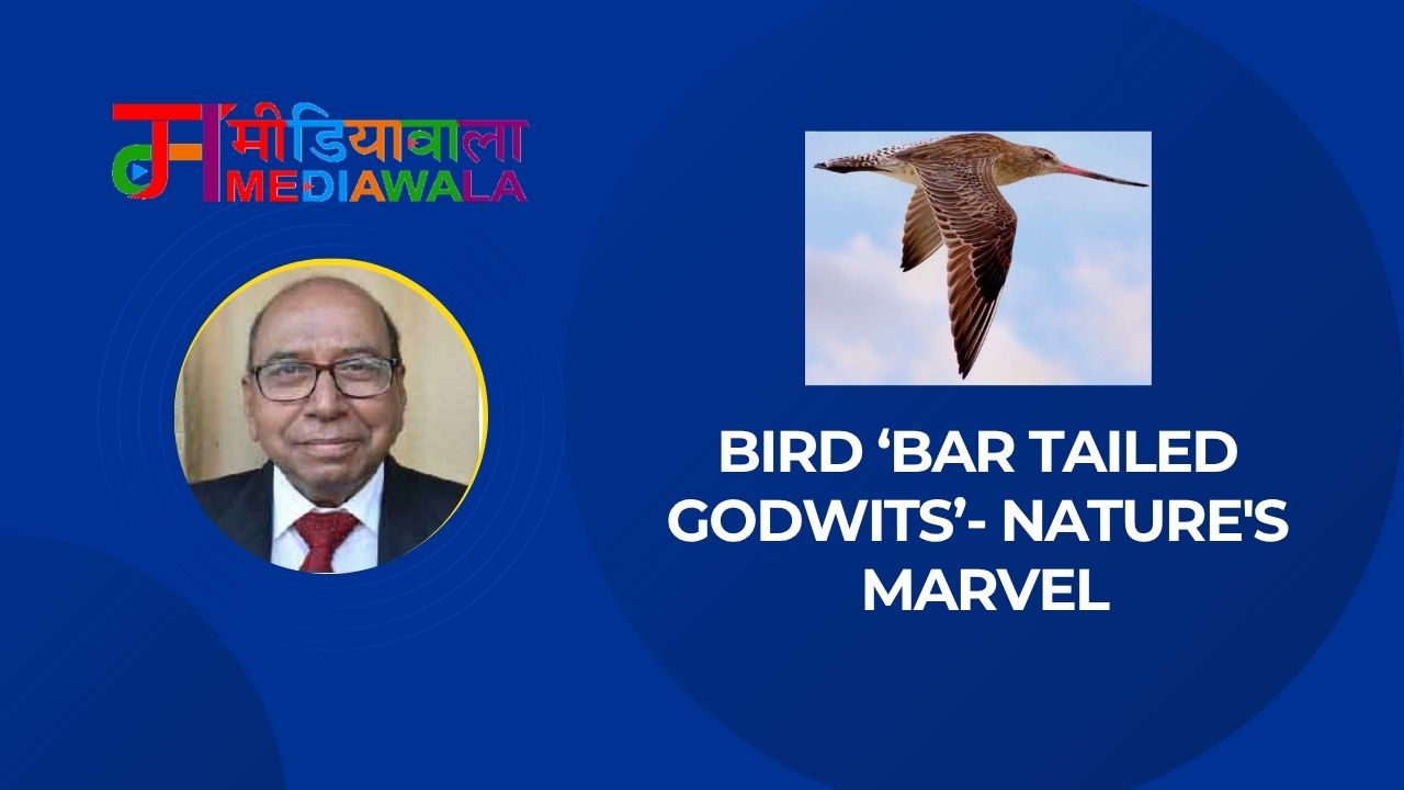 Suresh Tiwari - 2026-06-15T080918.414