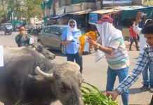 अनिश्चितकालीन हड़ताल पर स्वास्थ्य संविदा कर्मचारियों ने बजाई भैंस के आगे बीन