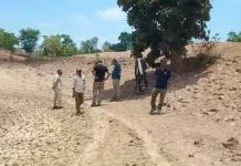 Mass Death of Wildlife in MP: 12 चीतल और 2 सांभर की मौत, 3 गिरफ्तार