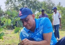 DRM Conducts Tree Plantation : मंडल रेल प्रबंधक अश्वनी कुमार ने किया आरपीएफ ग्राउंड में वृक्षारोपण!